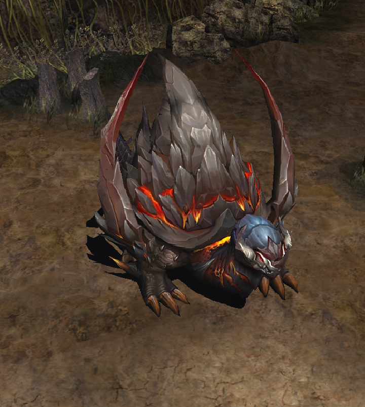 Fire Turtle